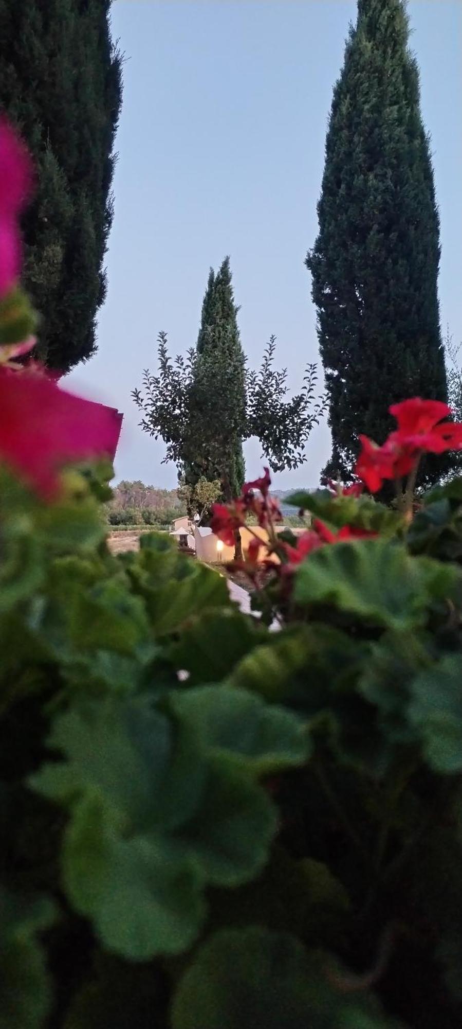 I Salici Agriturismo Badia Agnano Εξωτερικό φωτογραφία