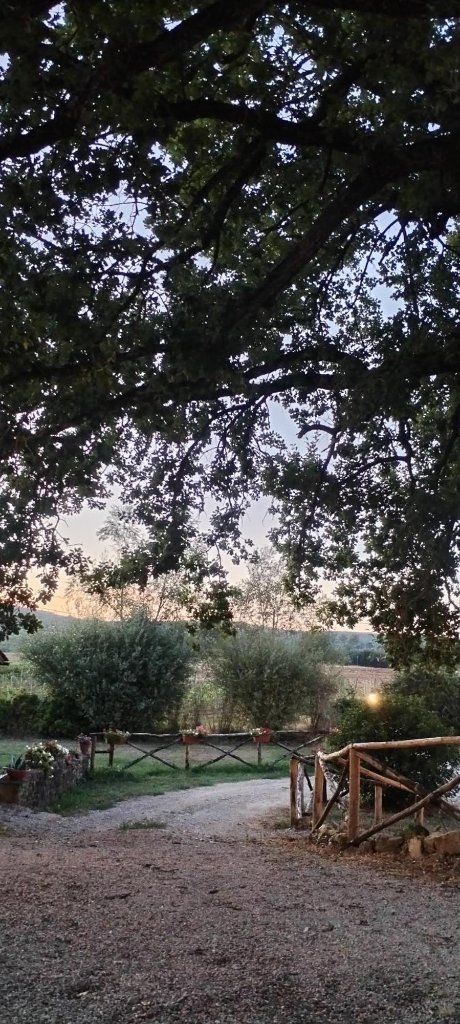 I Salici Agriturismo Badia Agnano Εξωτερικό φωτογραφία