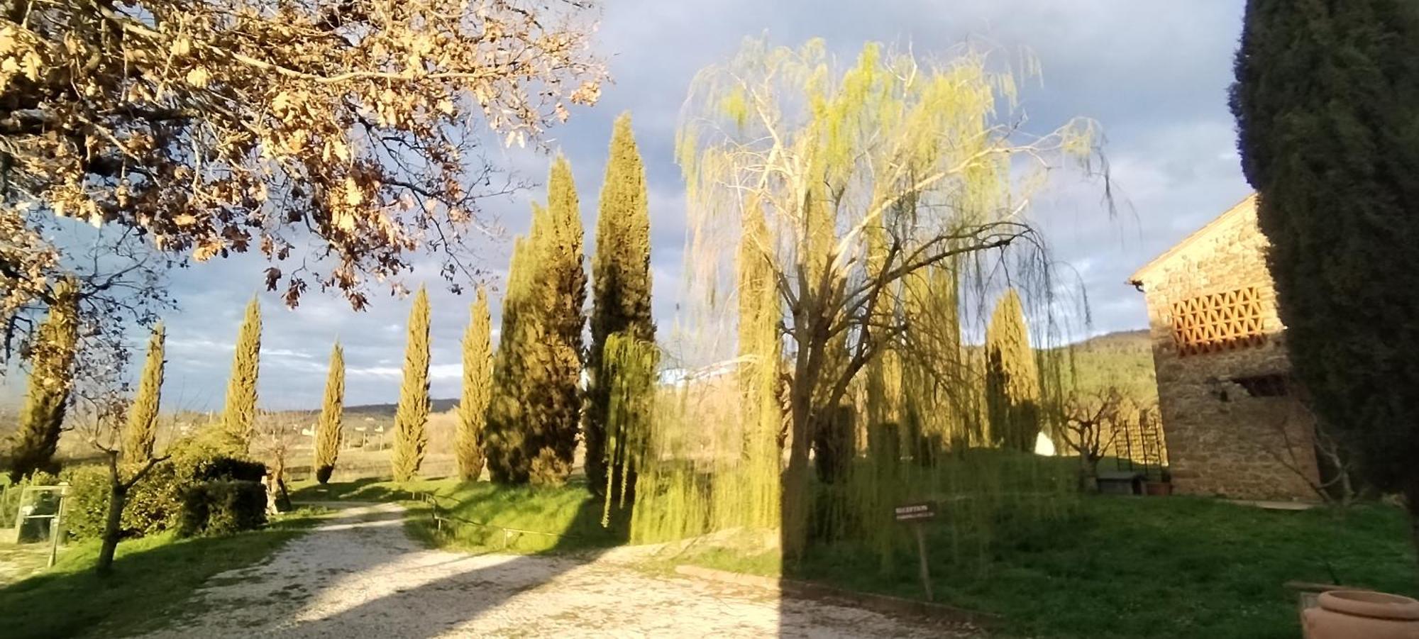 I Salici Agriturismo Badia Agnano Εξωτερικό φωτογραφία